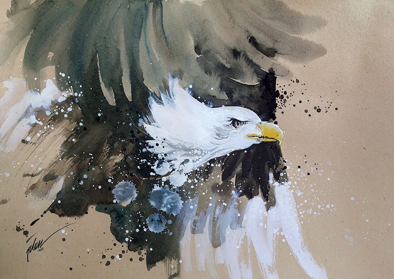 800x566 Eagle - Eagle Watercolor
