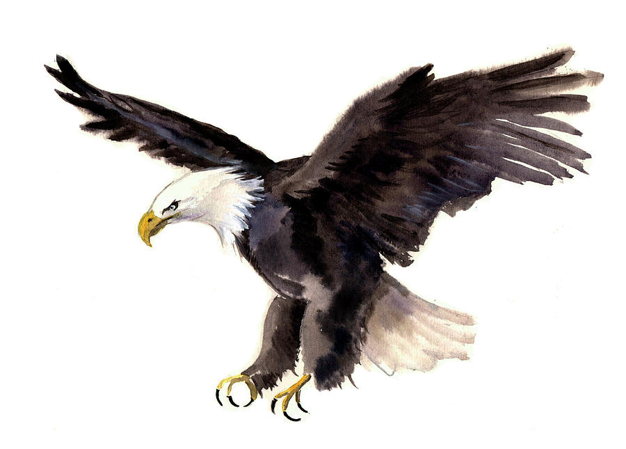 900x645 Eagle Watercolor Painting By Tatyana Komtsyan - Eagle Watercolor