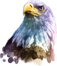 190x220 Eagle Head Watercolor By Sergej Bodak Spreadshirt - Eagle Watercolor
