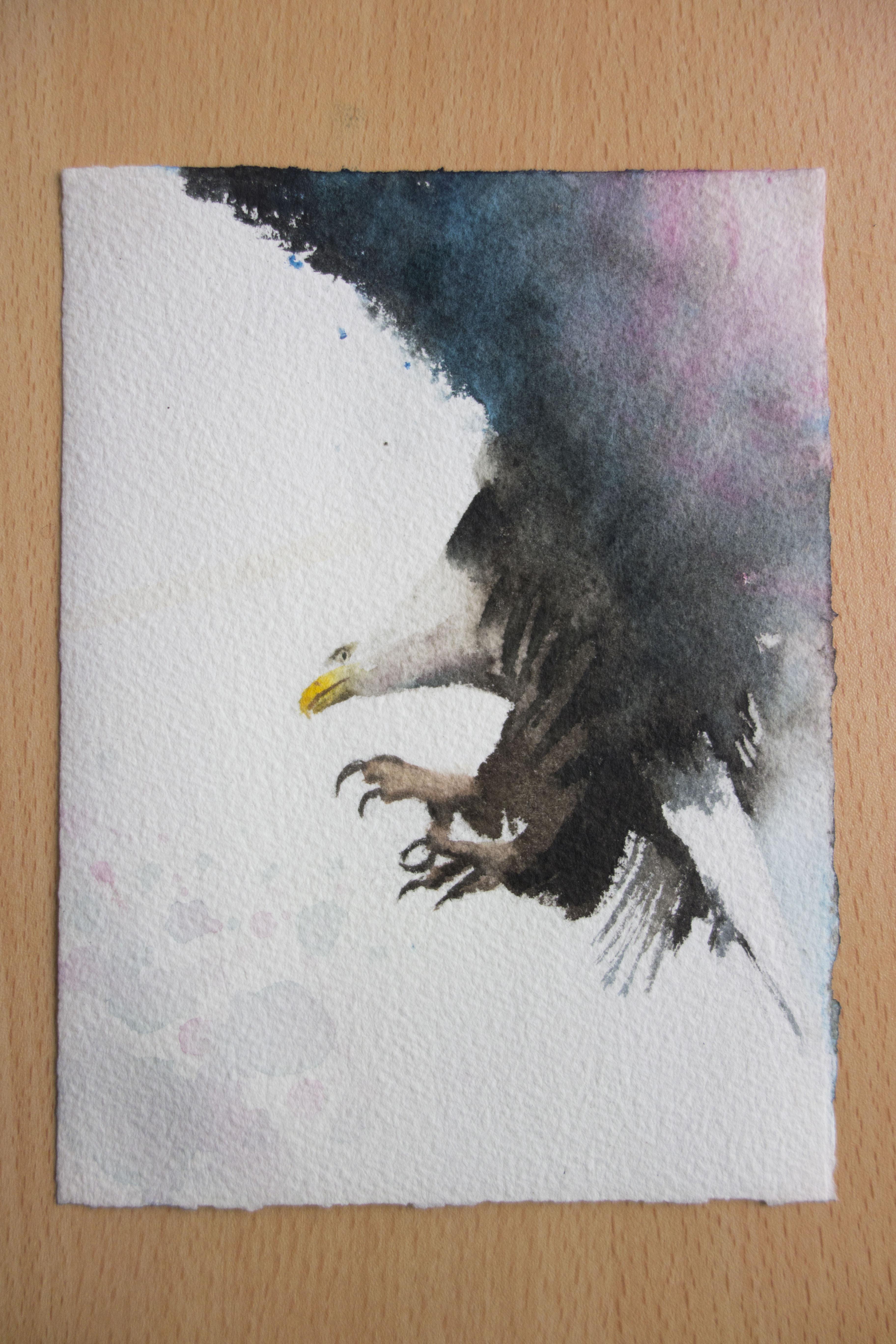 3648x5472 Eagle Study, Watercolor, 14x18 Cm Art - Eagle Watercolor