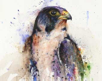 340x270 Eagle Watercolor Etsy - Eagle Watercolor