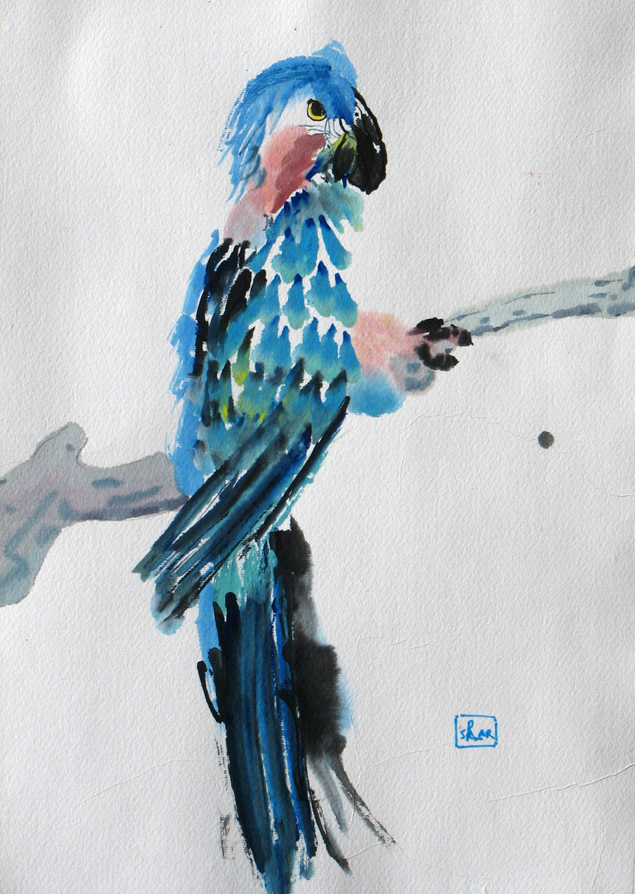 906x1275 Watercolor Paintings Of Birds By Rita Sklar - Easy Watercolor Birds