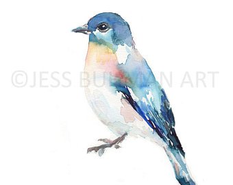340x270 Abstract Bird Art Etsy - Easy Watercolor Birds