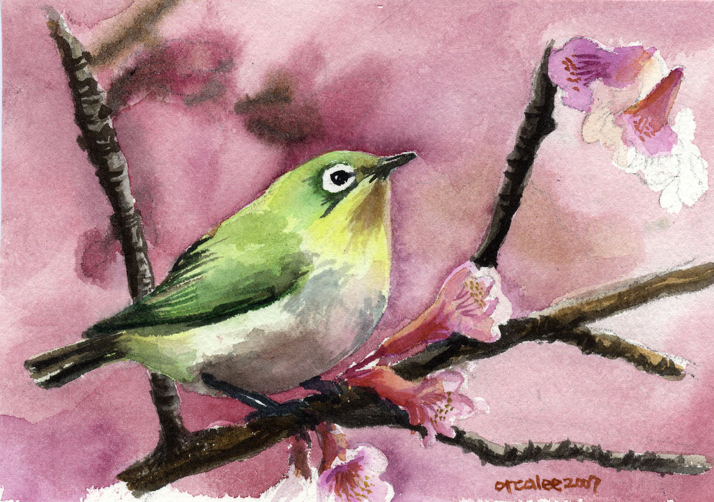 1024x720 Bird Watercolor By Mirrorplex - Easy Watercolor Birds