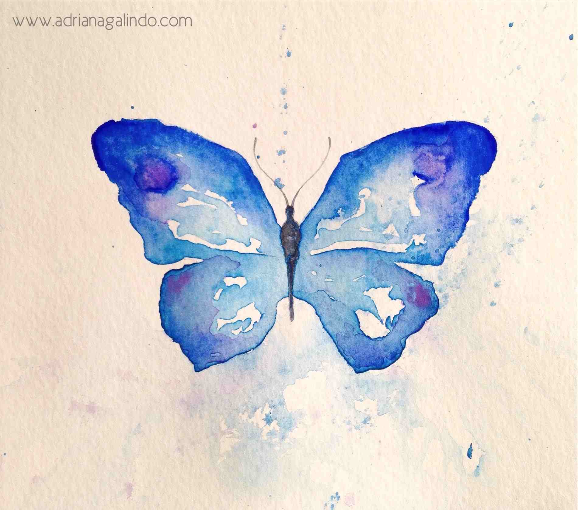 Easy Watercolor Paintings Of Butterflies At Paintingvalley.com 