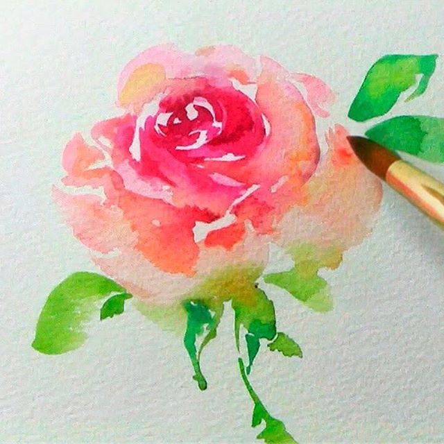 640x640 Watercolor Flower Ideas Awesome 17 Best Ideas About Easy - Easy Watercolor Paintings Of Flowers