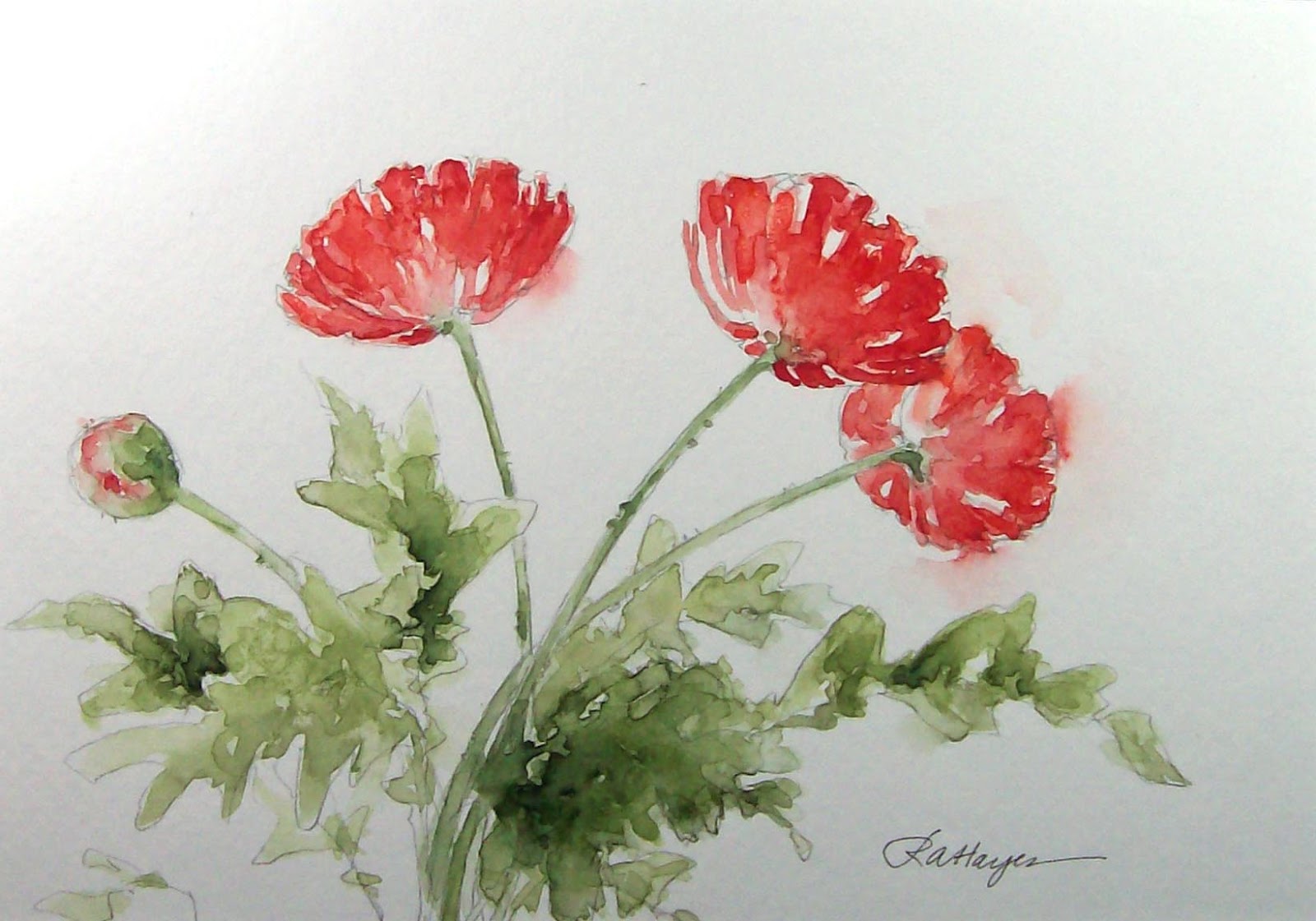 1600x1121 Watercolor Paintings By Roseann Hayes Poppies Watercolor Painting - Easy Watercolor Paintings Of Flowers