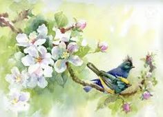 236x170 9 Best Paintings Images Drawings, Easy Watercolor - Easy Watercolor Paintings Of Spring Landscapes
