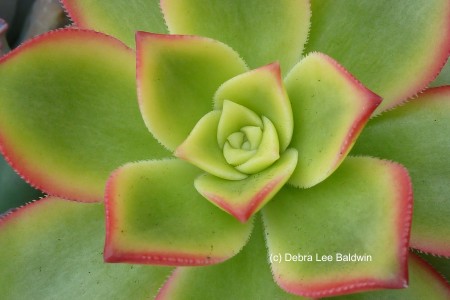 450x300 Watercolor Painting - Easy Watercolor Pictures To Paint