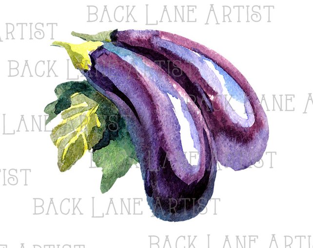642x510 Eggplant Aubergine Brinjal Vegetables Watercolor Drawing Etsy - Eggplant Watercolor