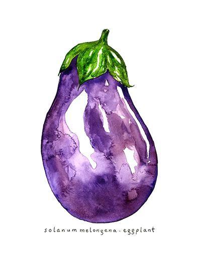 400x533 Eggplant Watercolor Illustration Art Print Marcella Kriebel Art - Eggplant Watercolor
