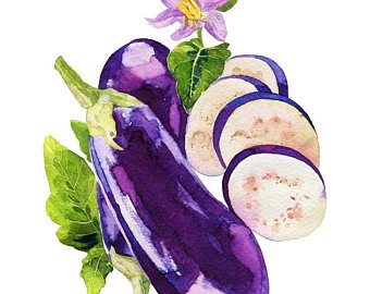 340x270 Eggplant Watercolor Etsy - Eggplant Watercolor