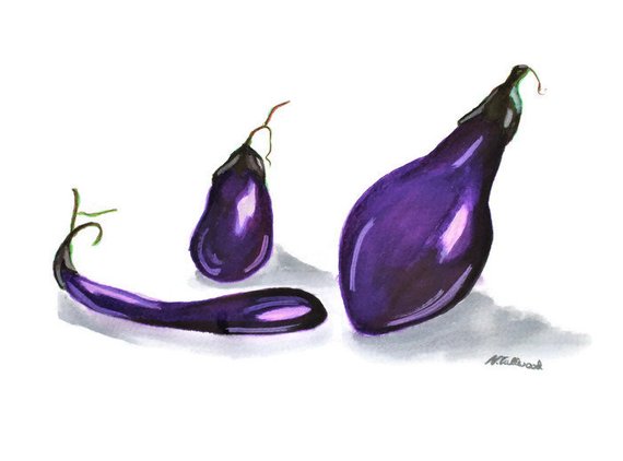 570x422 Eggplant Watercolor Paintingfood Paintingvegetable Etsy - Eggplant Watercolor