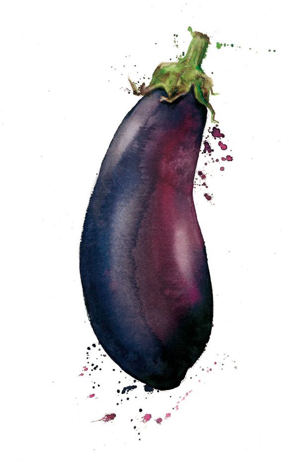 600x931 Mange Tout On Illustration Served Pictures Of Food - Eggplant Watercolor