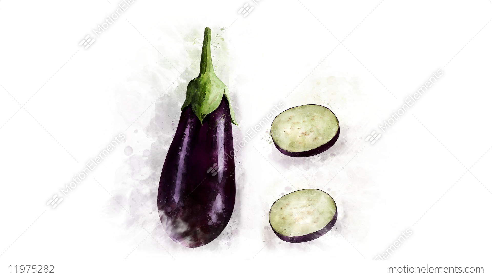 1920x1080 Watercolor Eggplant Picture Appearance Stock Video Footage 11975282 - Eggplant Watercolor
