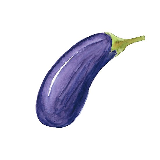 550x550 Watercolor Eggplant Posters By Fuzzylogickate Redbubble - Eggplant Watercolor
