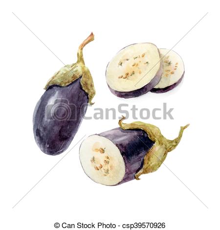 450x470 Watercolor Hand Drawn Eggplant. Beautiful Image With Nice - Eggplant Watercolor
