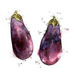 236x236 Watercolor Vegetables And Fruit Creative Atr - Eggplant Watercolor