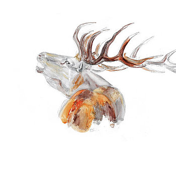 350x350 Elena Romanova - Elena Romanova Watercolor