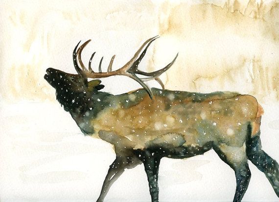 570x414 Elk By Dimdiart Original Watercolor Painting 14x11inch Painting - Elk Watercolor