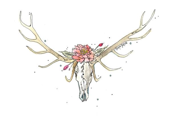 600x421 Elk Skull Nicole Gaitan Art - Elk Watercolor