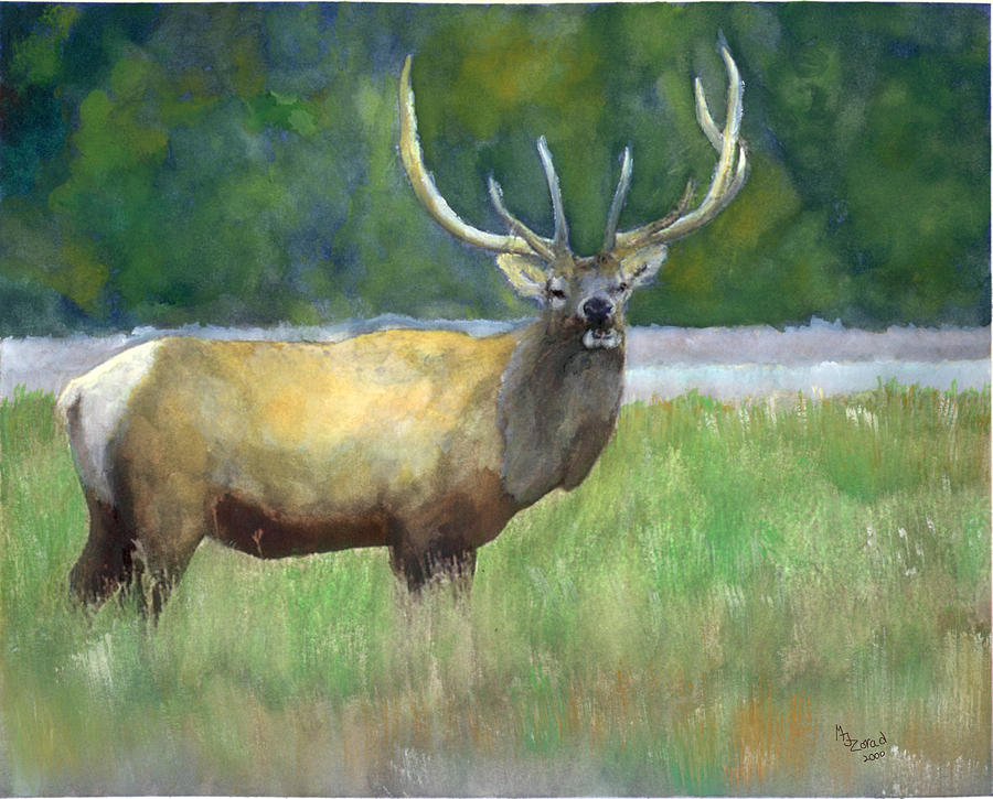 900x725 Elk Watercolor Painting By Mary Jo Zorad - Elk Watercolor