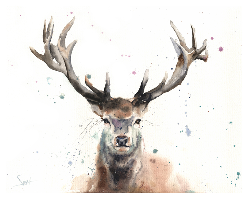 808x650 Elk Watercolor Print Watercolor Animal Paintings - Elk Watercolor