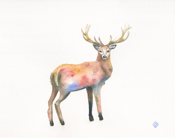 570x449 Original Watercolor Painting Colorful Elk 8.5 X 11 Etsy - Elk Watercolor