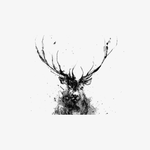 510x510 Watercolor Elk, Watercolor Clipart, Ink Elk, Fawn Png Image And - Elk Watercolor