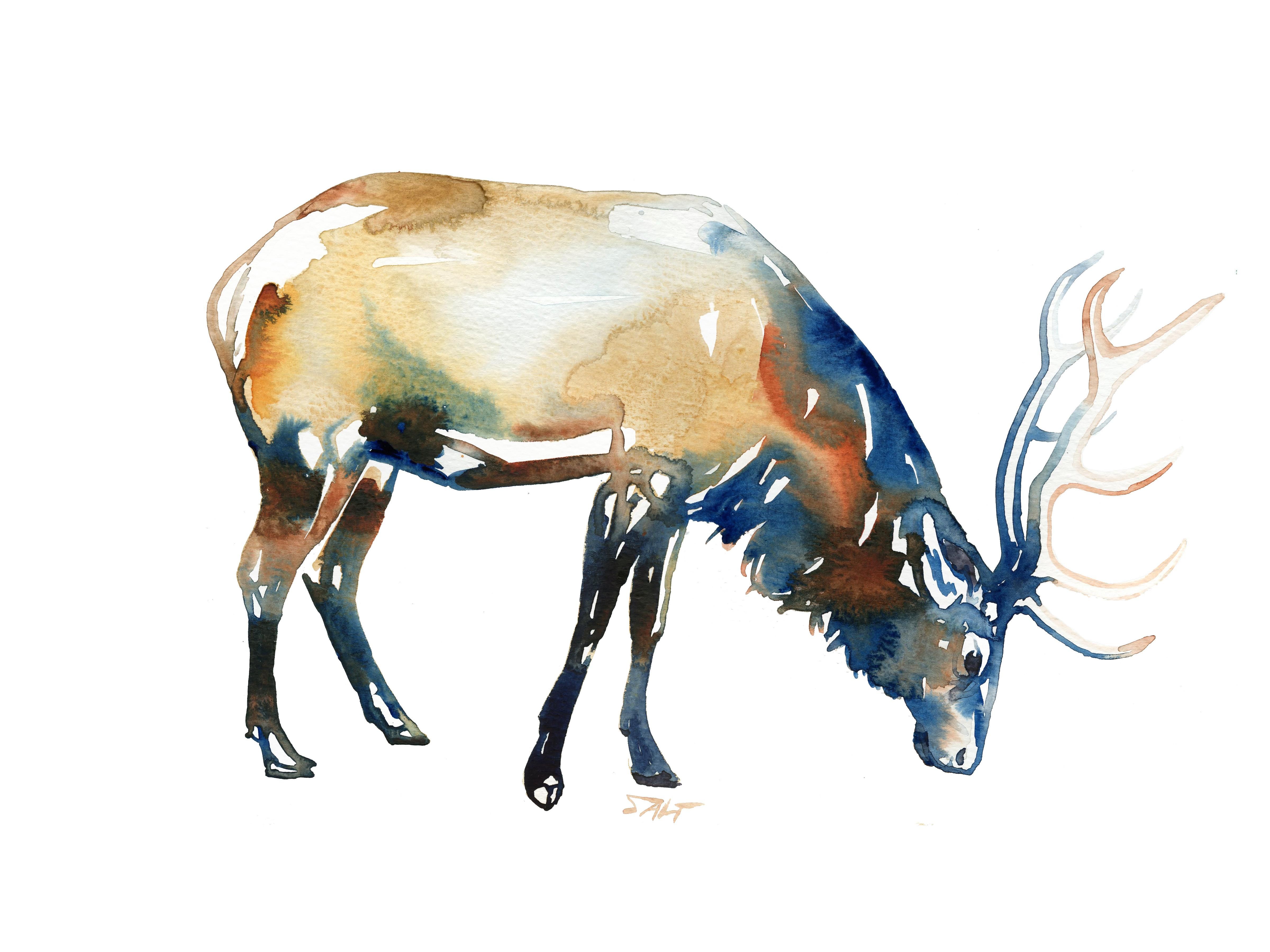 4800x3600 Bull Elk Watercolor 12x16 (I.redd.it) Submitted By - Elk Watercolor
