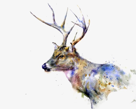 564x452 Elk, Hand Painted Elk, Creative Elk, Watercolor Elk Png Image And - Elk Watercolor Paintings