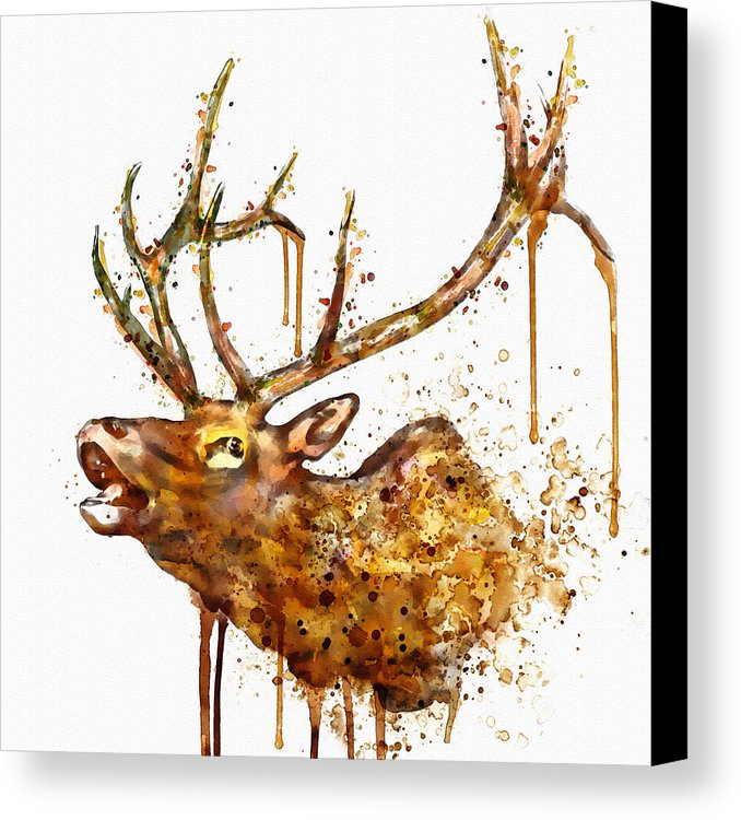 678x750 Elk In Watercolor Canvas Print Canvas Art By Marian Voicu - Elk Watercolor Paintings