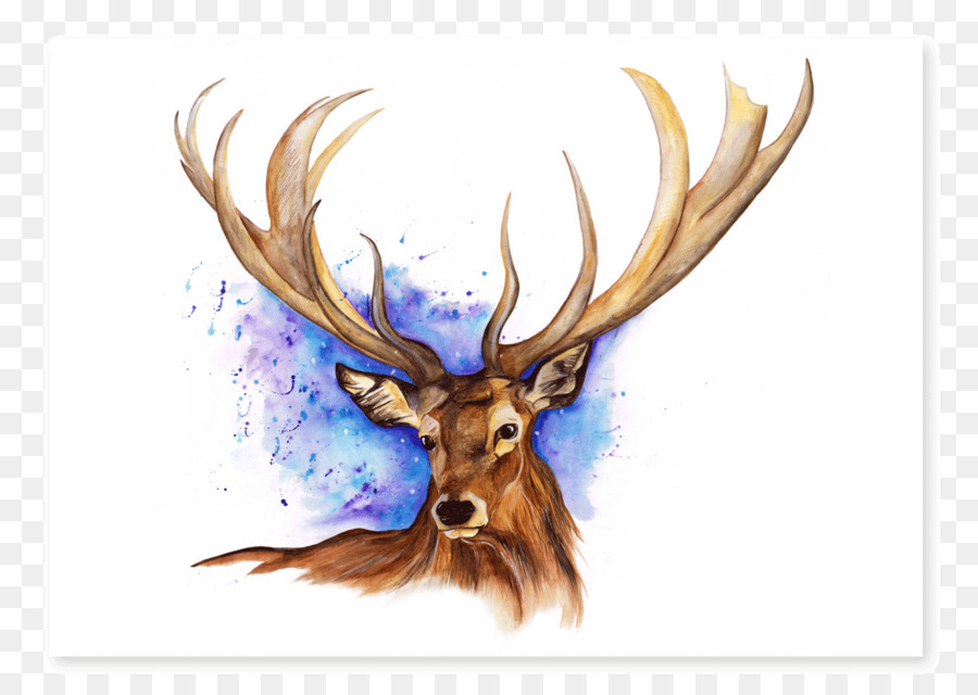 900x640 Elk Reindeer Antler Watercolor Painting - Elk Watercolor Paintings