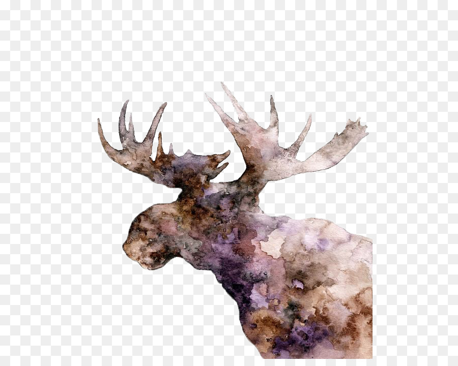 900x720 Moose Deer Elk Watercolor Painting - Elk Watercolor Paintings