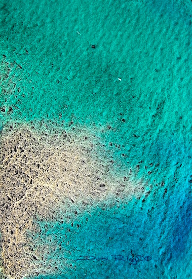 389x565 Colors Of Green Watercolors Debi Riley - Emerald Green Watercolor