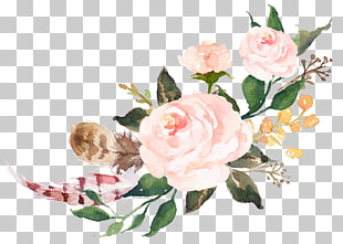 310x221 76 Watercolor Flowers Sen Department Png Cliparts For Free - Etsy Watercolor Flowers