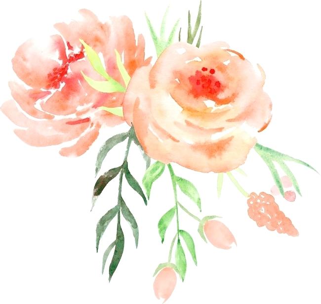 650x615 Water Color Flower Orange Roses Decorative Pattern Illustration - Etsy Watercolor Flowers