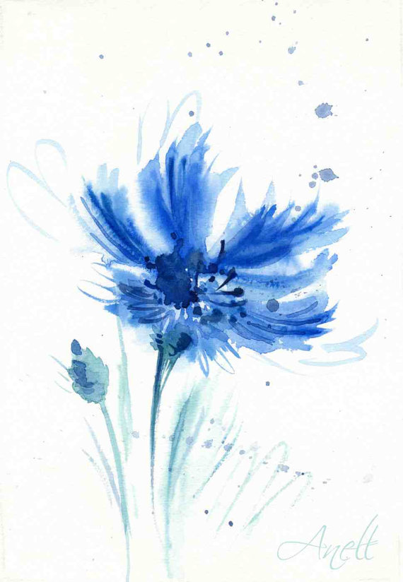 570x824 Blue Watercolor Flower Print Cornflower Watercolor Blue Print - Etsy Watercolor Flowers