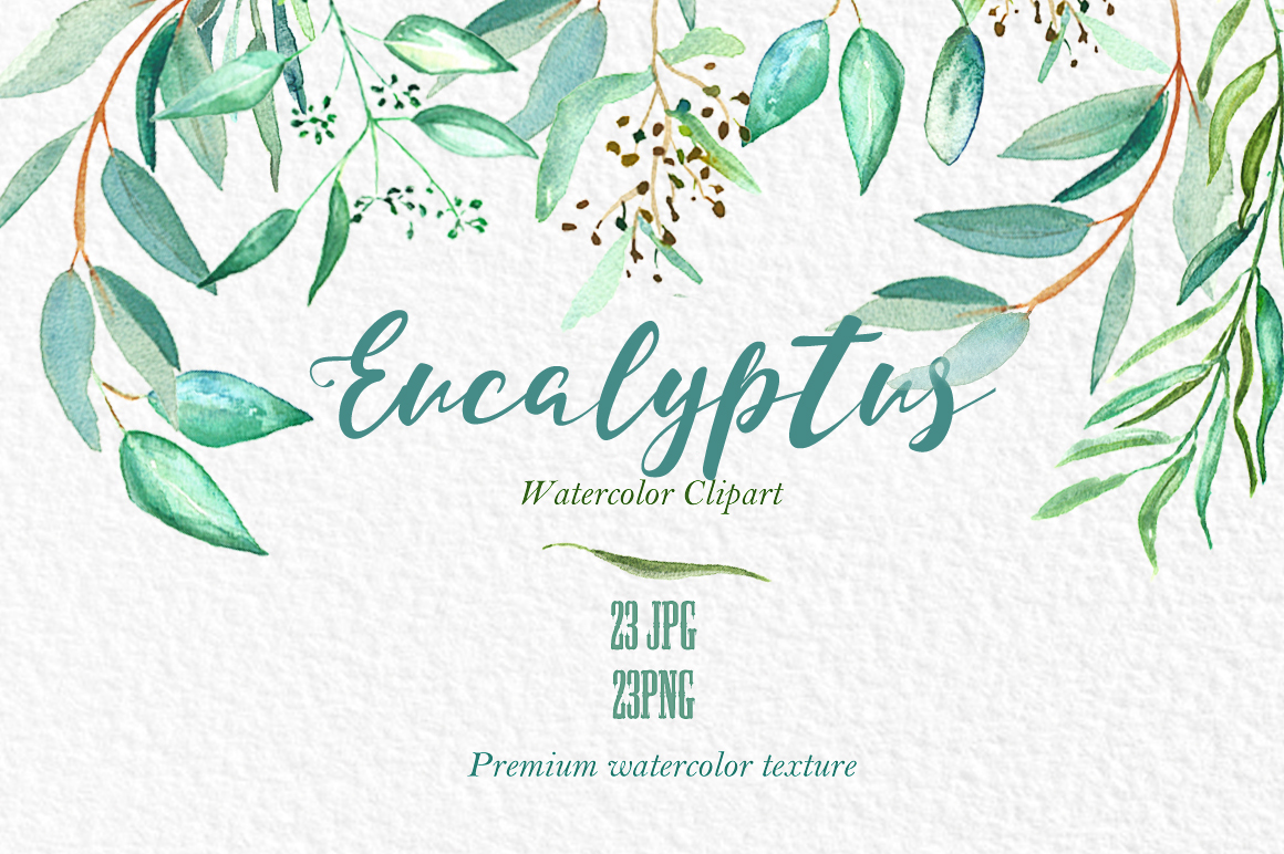 1160x772 Eucalyptus. Watercolor Clipart. By Labfcreations - Eucalyptus Watercolor