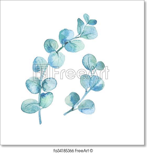 561x581 Free Art Print Of Watercolor Eucalyptus Leaves And Branches - Eucalyptus Watercolor
