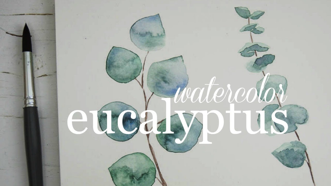 1280x720 How To Paint Eucalyptus Watercolor Techniques Explained - Eucalyptus Watercolor