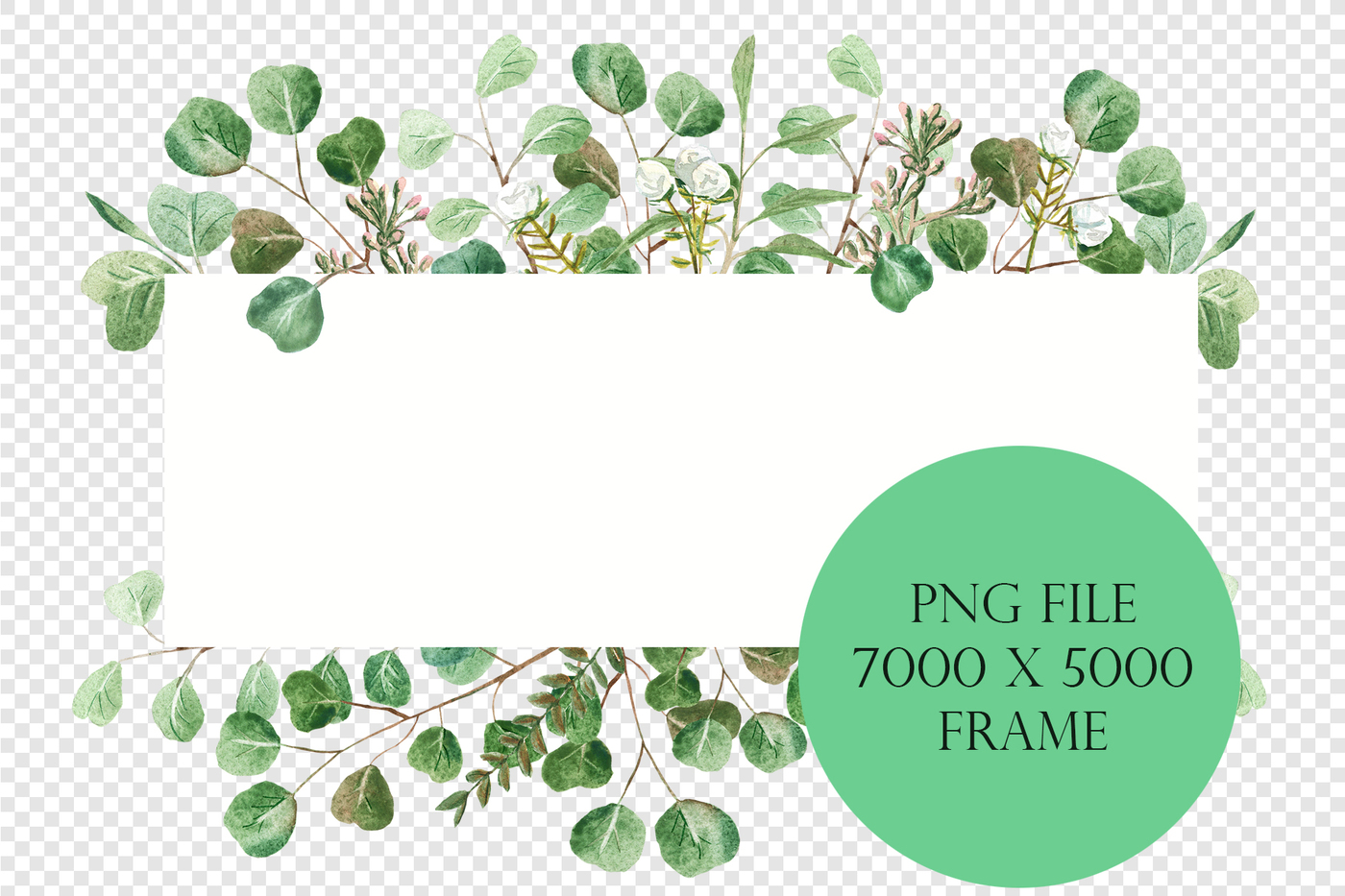 1400x933 Silver Eucalyptus Watercolor Collection By Art Mara - Eucalyptus Watercolor