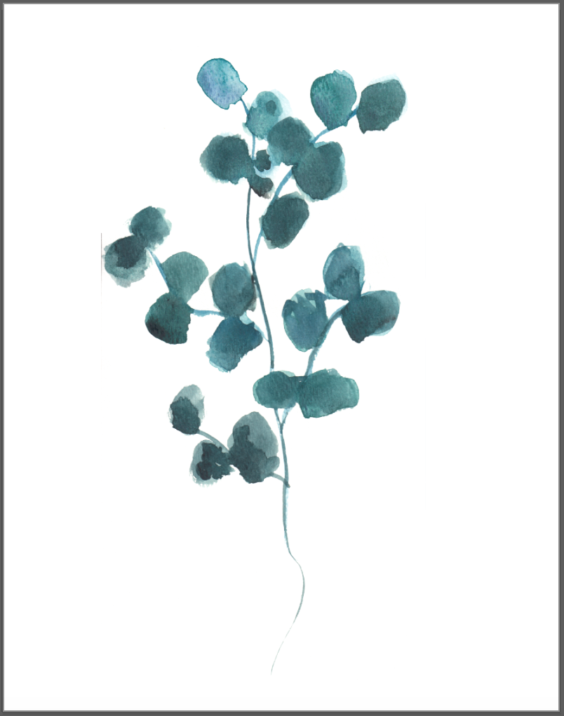 804x1020 Simple Watercolor Flower, Watercolor Eucalyptus, Watercolor - Eucalyptus Watercolor