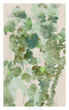281x450 Watercolor Eucalyptus Ii Art Print By Jennifer Goldberger - Eucalyptus Watercolor