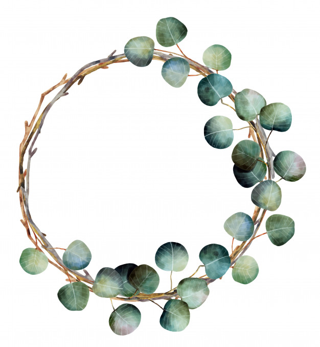 626x678 Watercolor Christmas Wreath With Eucalyptus Branches Vector - Eucalyptus Watercolor