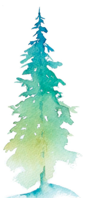 301x694 Beginning Watercolor Starting With Trees Quarto Knows Blog - Evergreen Tree Watercolor