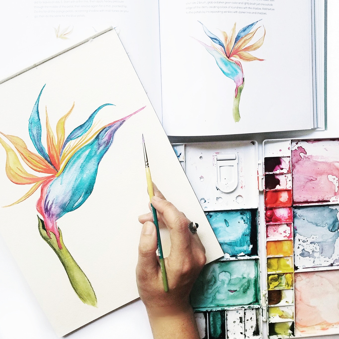 1366x1366 Everyday Watercolor Bird Of Paradise. Has Anyone Else Finished - Everyday Watercolor