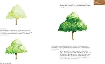 444x271 Everyday Watercolor Learn To Paint Watercolor In 30 Days Price In - Everyday Watercolor