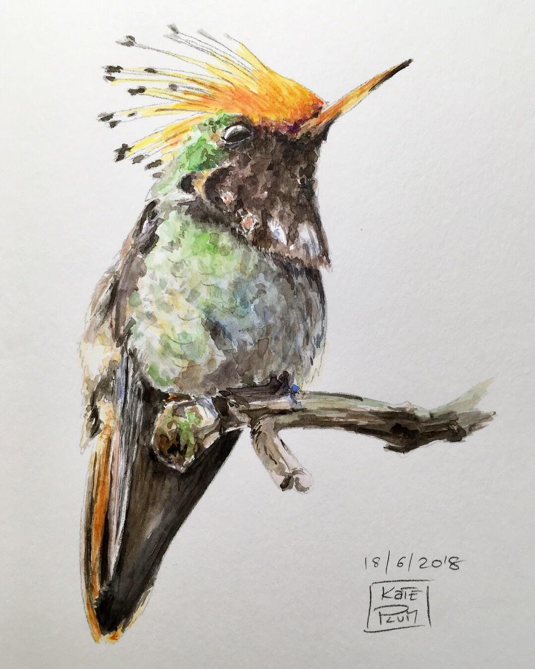 1080x1350 Everyday Watercolor Sketch (Watercolor, Sketchbook - Everyday Watercolor