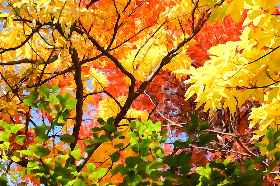 900x600 Fall Colors Watercolor Photograph By Steven R Breininger - Fall Colors Watercolor